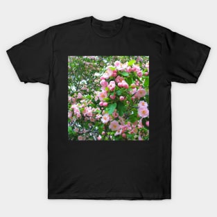 Spring Blossoms-Art Prints-Mugs,Cases,Duvets,T Shirts,Stickers,etc T-Shirt